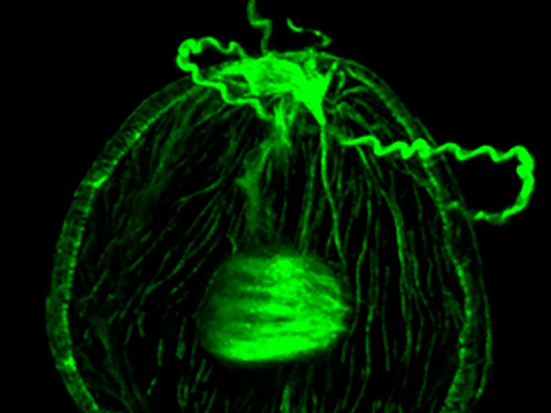 Movimiento y organización para que la vida&nbsp;fluya