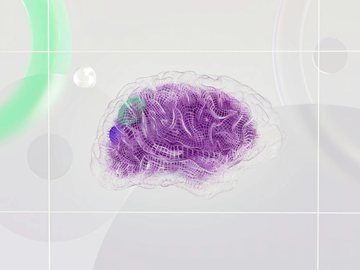 El microambiente tumoral en los gliomas: un campo de batalla&nbsp;oculto